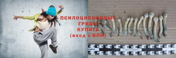гидра Белоозёрский