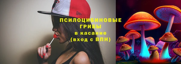 винт Белокуриха
