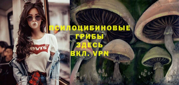 винт Белокуриха
