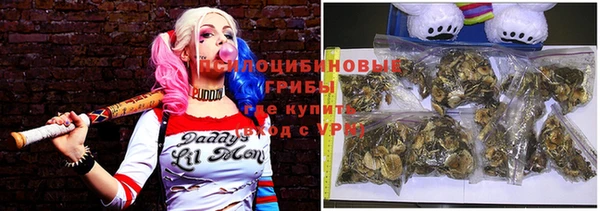 винт Белокуриха