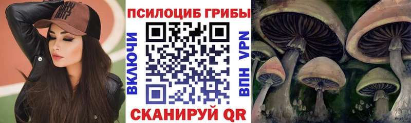 omg ССЫЛКА  Сковородино  Галлюциногенные грибы прущие грибы 